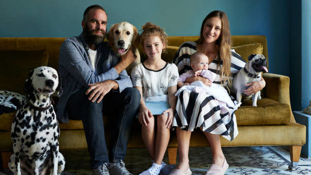 Everyday life at home with dogs